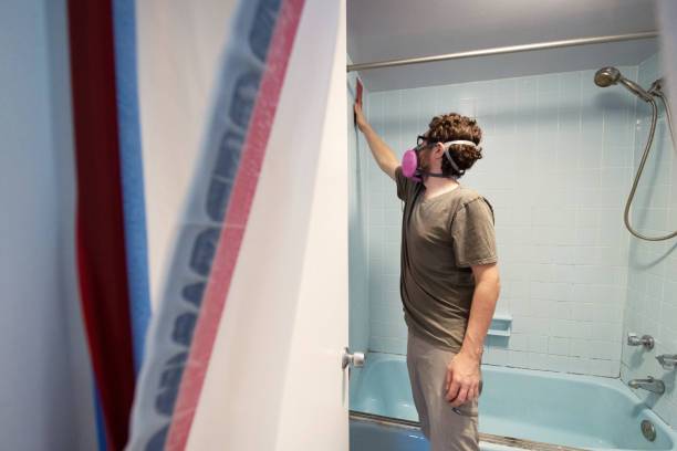 Environmental Consulting for Mold Prevention in Lewisburg, PA