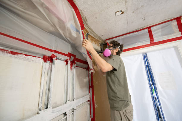 Best HVAC Mold Inspection and Cleaning  in Lewisburg, PA